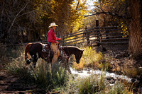 Cowboy 2 ©JodieBaxendale